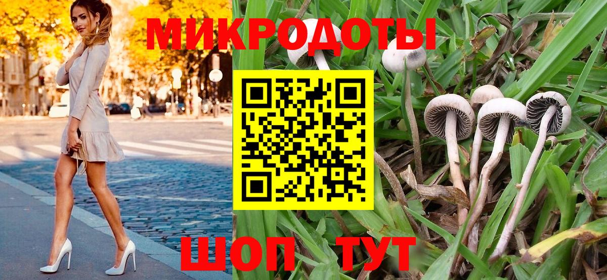 Псилоцибиновые грибы Psilocybe  Вход с VPN  Сызрань 