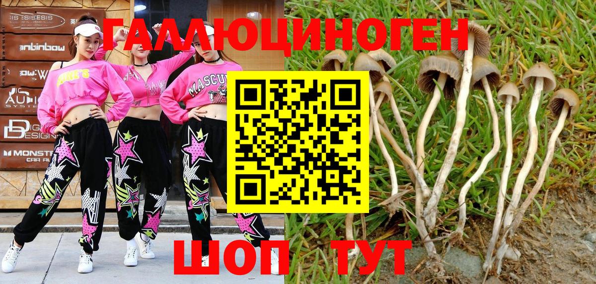 Псилоцибиновые грибы GOLDEN TEACHER Сызрань